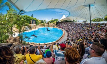 Loro Parque Tenerife