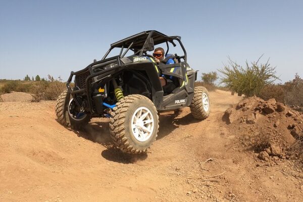 Quad & Buggy - Image 6