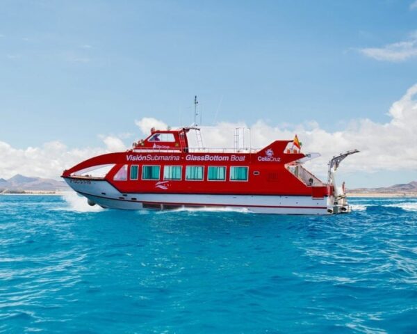 Lobos Island - Image 4