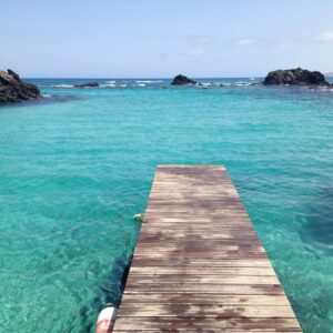 Lobos Island