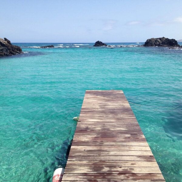 Lobos Island