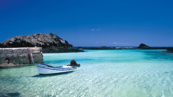Lobos Island - Image 3
