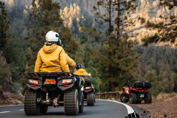 Quad & Buggy - Image 7