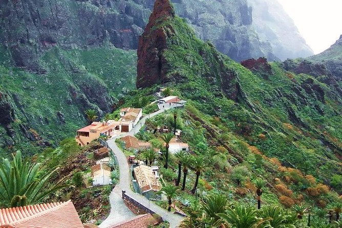 Guided  day tours in Tenerife
