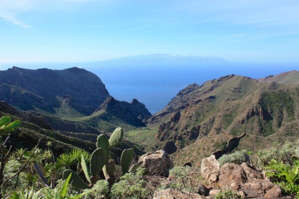Tenerife things to do, canary islands, Fuerteventura, la gomera Lanzarote, Jet ski, Catamaran, excursions buggy, snorkeling