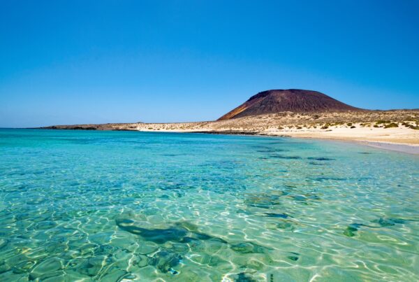 Lobos Island - Image 2