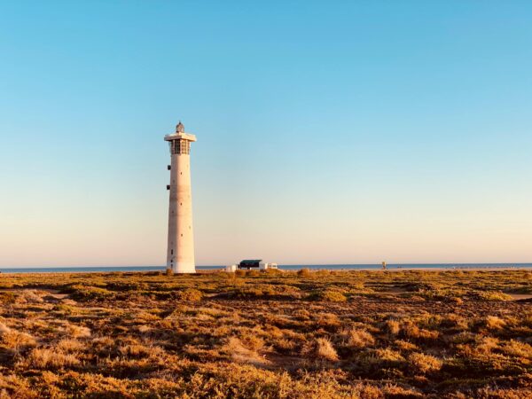 Excursions Fuerteventura