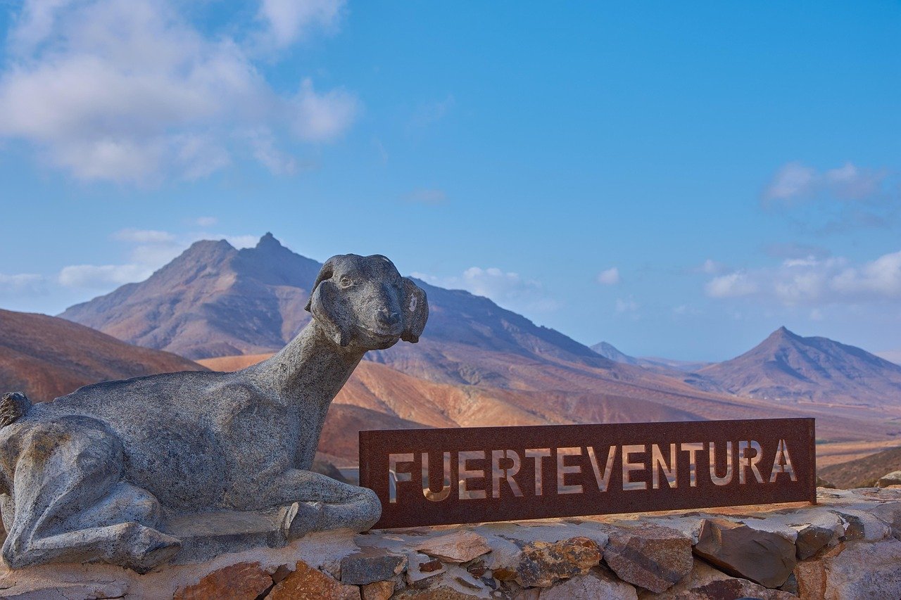  Fuerteventura day tours