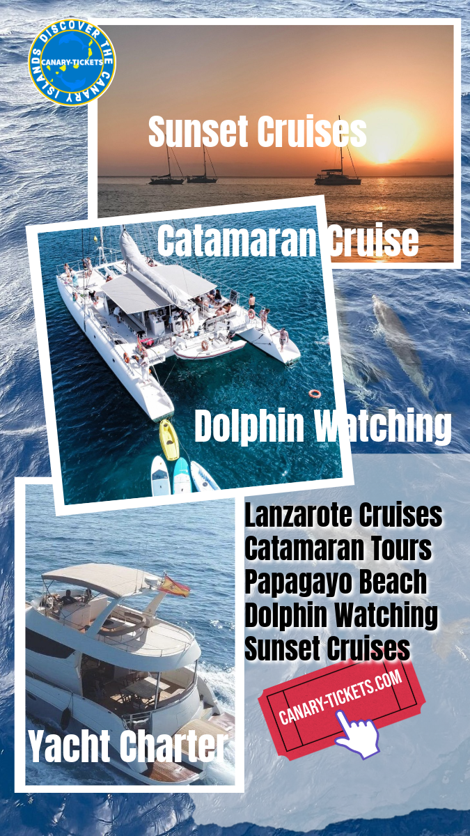 Catamaran excursions and Dolphin Watching