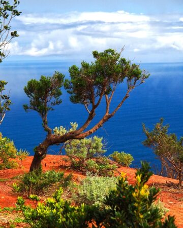 La Gomera